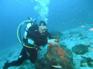  Unique underwater adventures with URSRSA 